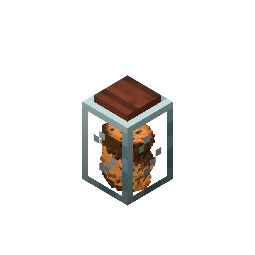 Food Jar