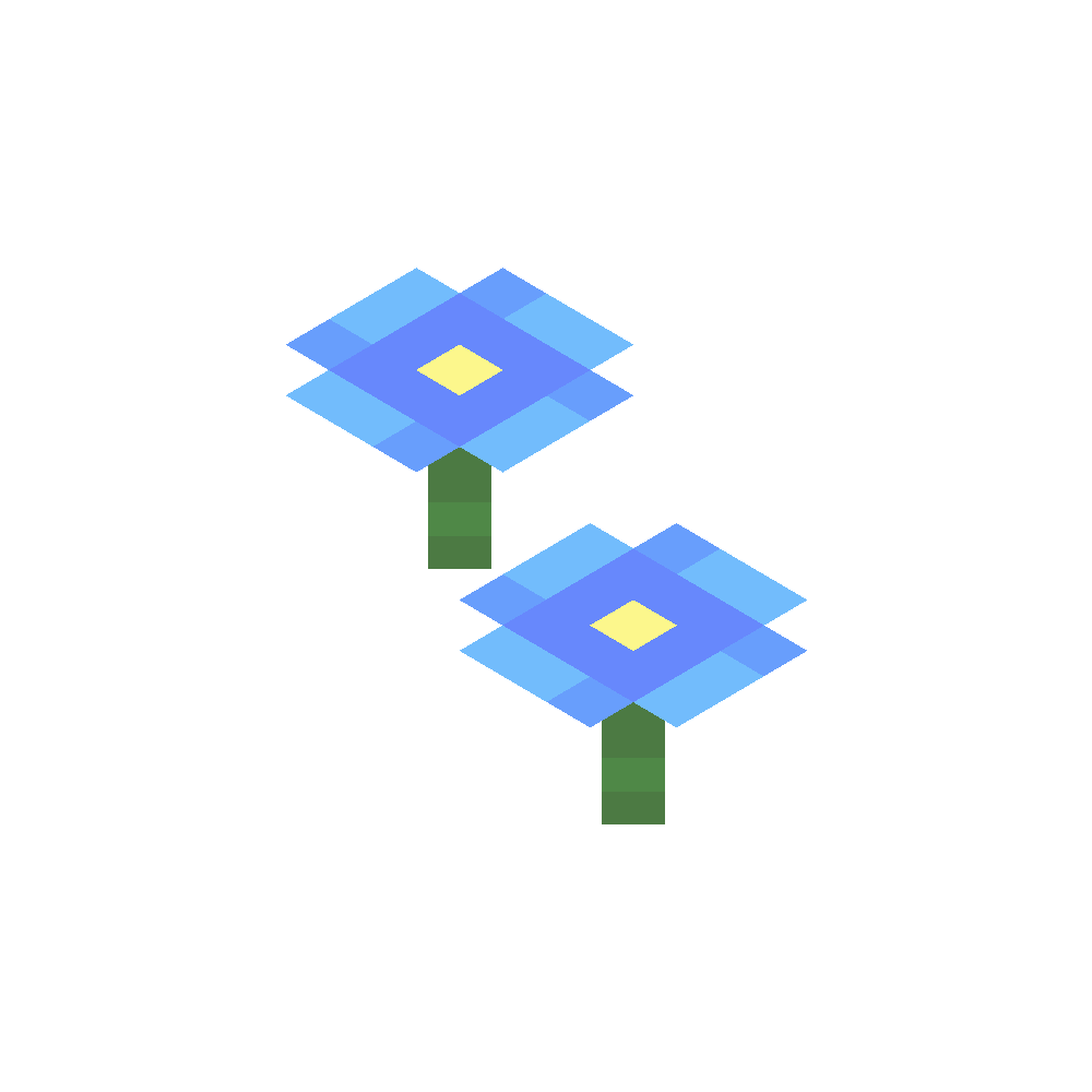 Two forget me nots (1 of 4)
