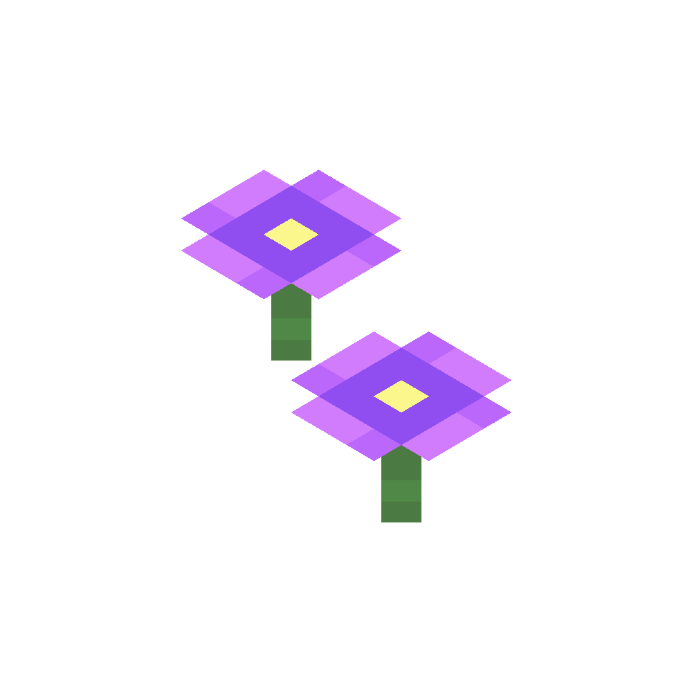 Two forget me nots (4 of 4)
